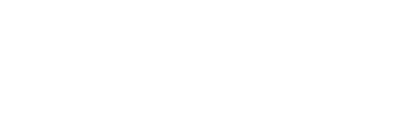 DSI CAPITAL